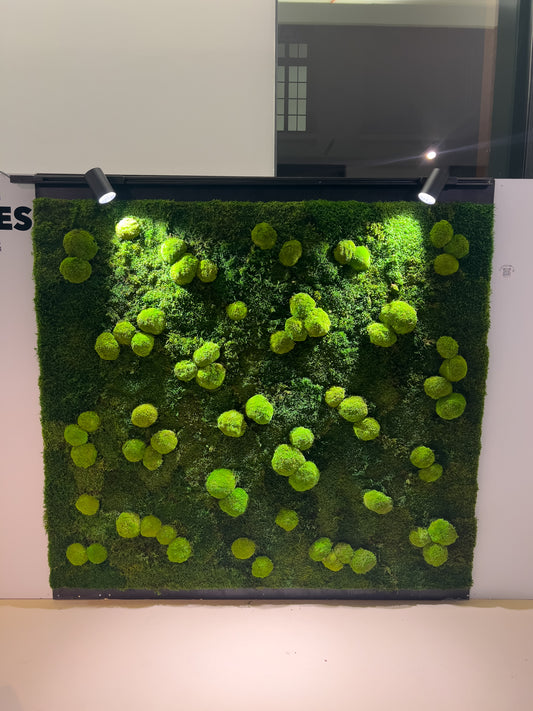 Mur végétal stabilisé - Ambiance Flat Forest (2mx1,80m)