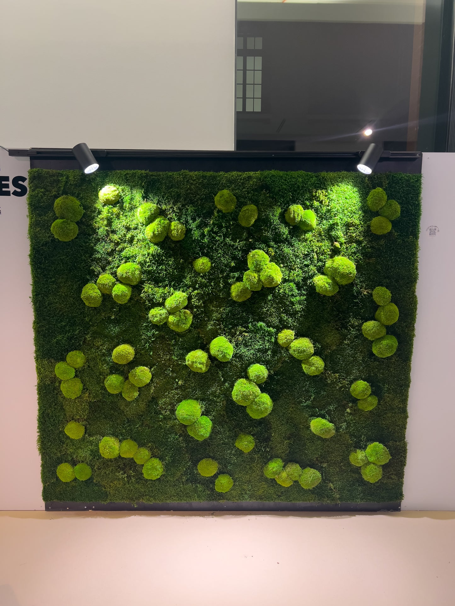 Mur végétal stabilisé - Ambiance Flat Forest (2mx1,80m) – Studio Vegetal